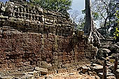 Ta Prohm temple - silk-cotton trees rising over the ruins